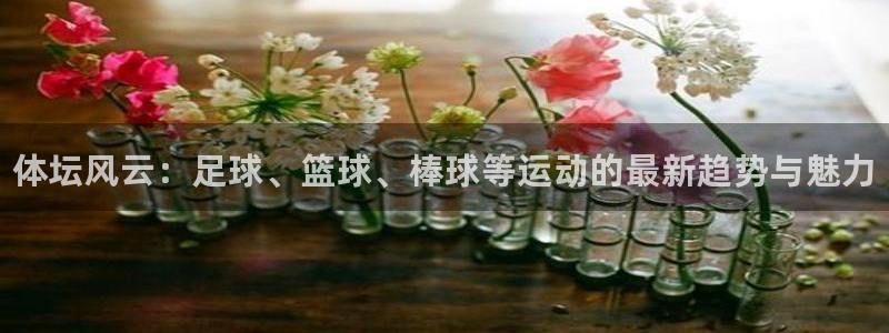 必发官方正版app集团E.ON：体坛风云：足球、篮球