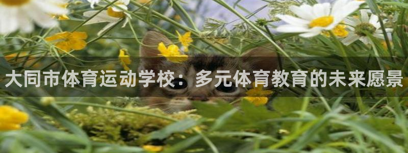 必发官网下载平台APP：大同市体育运动学校：多元体育