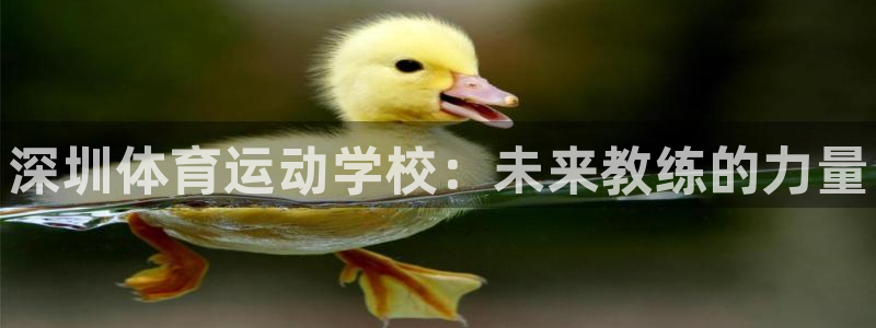 必发官网下载软件：深圳体育运动学校：未来教练的力量