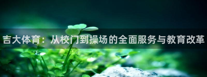 必发官方正版app娱乐