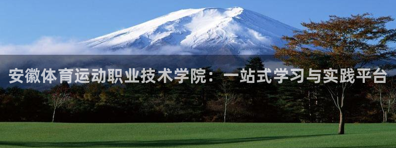 必发官方正版app集团E.ON：安徽体育运动职业技术