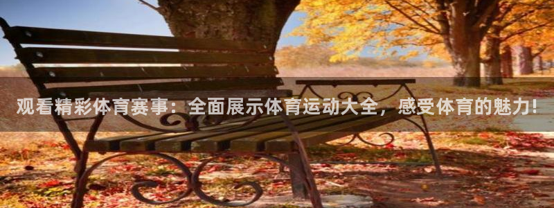 必发官方正版app开户：观看精彩体育赛事：全面展示体
