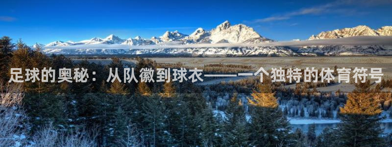 必发官网下载招商电话号码是多少号