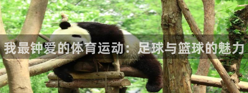 必发官网下载娱乐