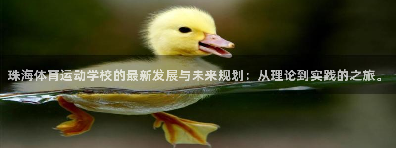 必发官方正版app代理