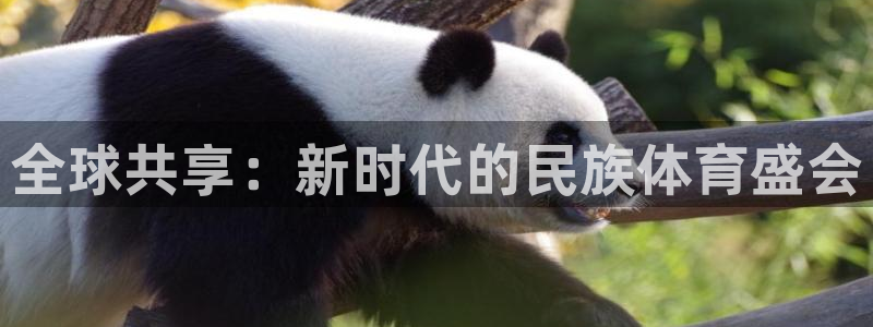 必发官网下载招商电话地址：全球共享：新时代的民族体育盛会