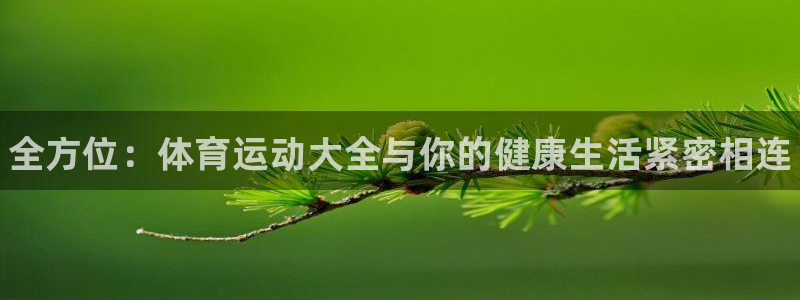 必发官方正版app娱乐：全方位：体育运动大全与你的健