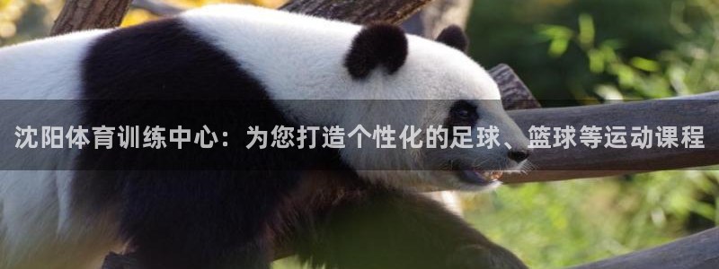 必发官网下载招商电话是多少：沈阳体育训练中心：为您打造个性化