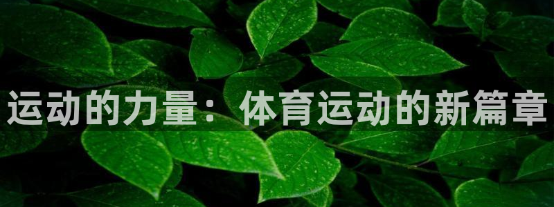 必发官方正版app娱乐平台：运动的力量：体育运动的新篇章
