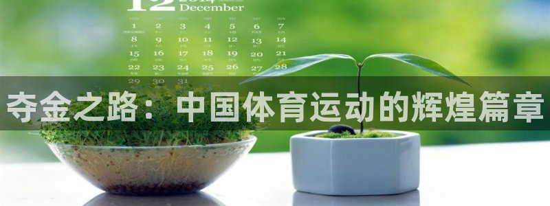 必发官网下载招商电话号码查询：夺金之路：中国体育运动的辉煌篇