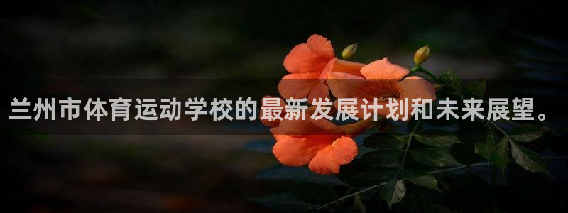 必发官方正版app官方：兰州市体育运动学校的最新发展计划和未