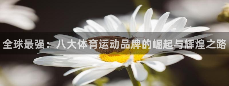 必发官网下载招商电话号码是多少号：全球最强：八大体育运动品牌