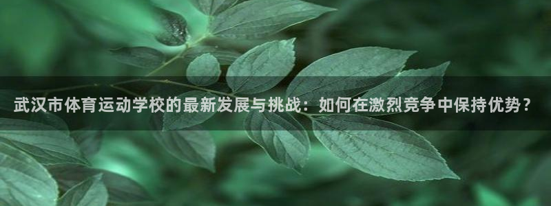 必发官方正版app娱乐40996：武汉市体育运动学校
