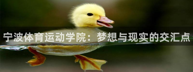 必发官方正版app新能源：宁波体育运动学院：梦想与现
