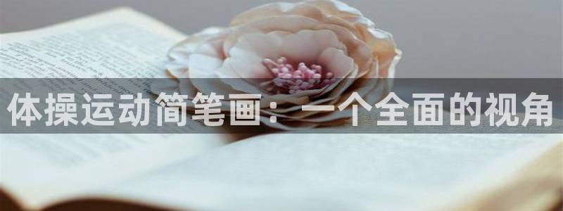 海南必发官网下载：体操运动简笔画：一个全面的视角