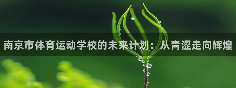 必发官方正版app娱乐首页网站大全：南京市体育运动学