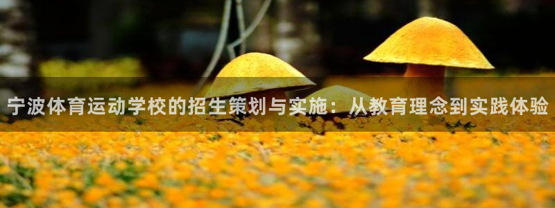必发官方正版app娱乐代理怎么样：宁波体育运动学校的