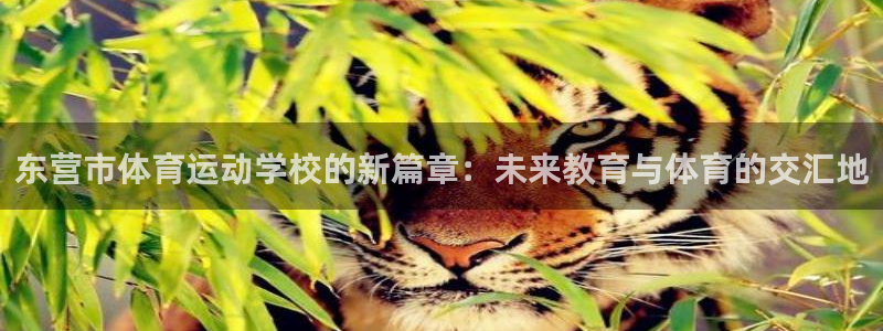 必发官网下载软件：东营市体育运动学校的新篇章：未来教