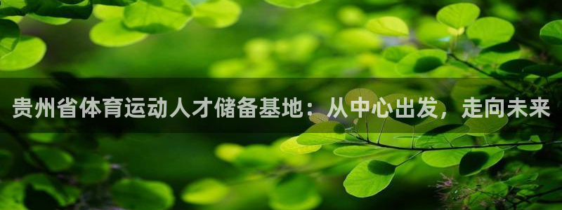 必发官方平台体育