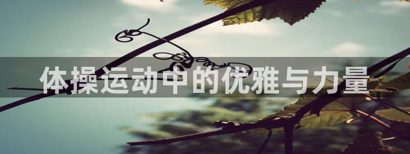 必发官网下载平台假的吗是真的吗吗：体操运动中的优雅与力量