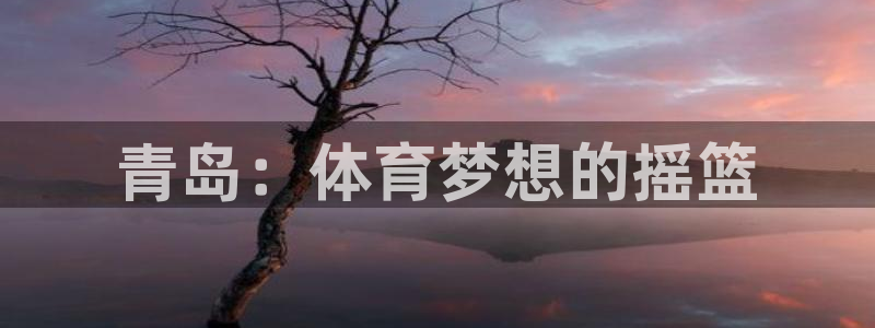 必发官方正版app集团logo