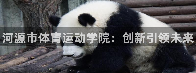 必发官网下载平台注册流程视频：河源市体育运动学院：创新引领未