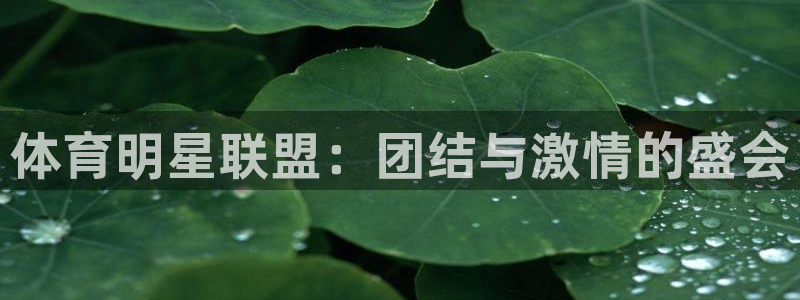 必发官方正版app集团官网首页网址：体育明星联盟：团结与激情