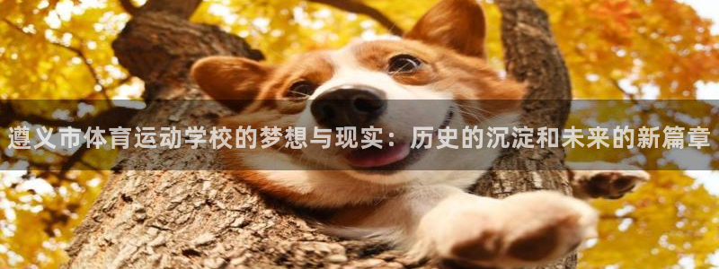 必发官网下载娱乐