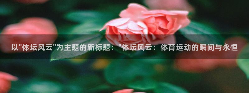 必发官网下载