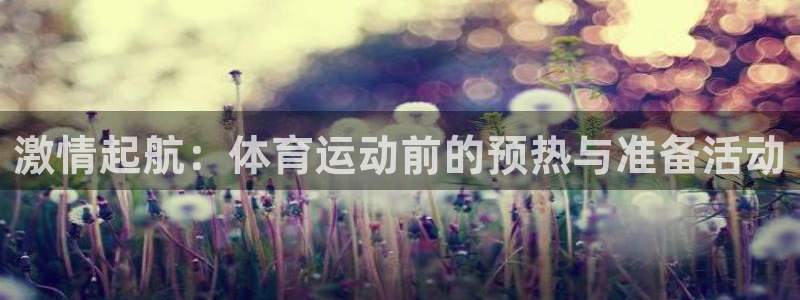 必发官方正版app娱乐网站：激情起航：体育运动前的预热与准备
