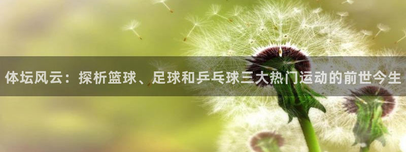 注册必发官方正版app：体坛风云：探析篮球、足球和乒