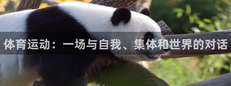 必发官网下载平台是正规平台吗知乎：体育运动：一场与自我、集体