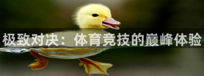 必发官方正版app开户