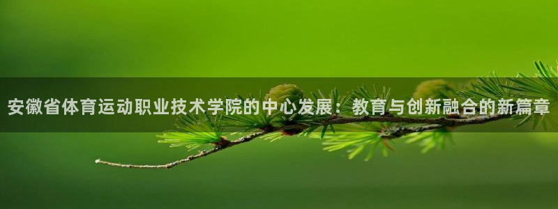 必发官方正版app集团logo：安徽省体育运动职业技术学院的