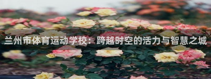 必发官方正版app娱乐下载