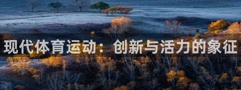 必发官方正版app娱乐首页网站大全