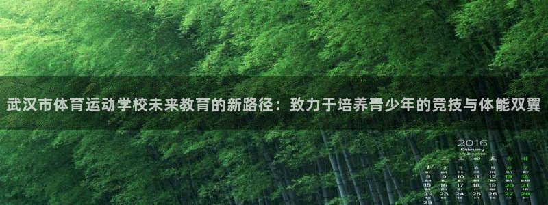 必发官网下载招商电话地址：武汉市体育运动学校未来教育的新路径