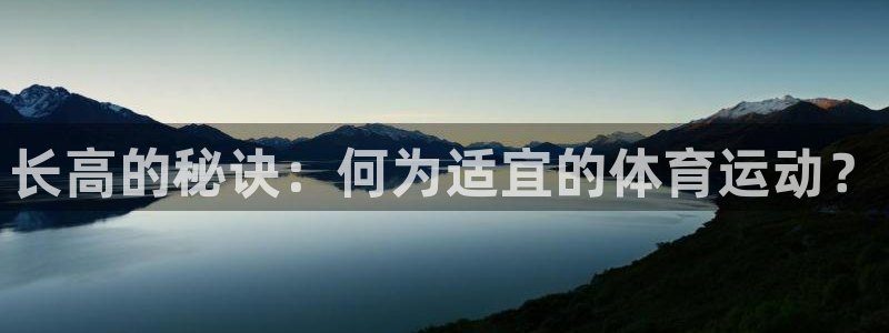 必发官网下载是干嘛的公司